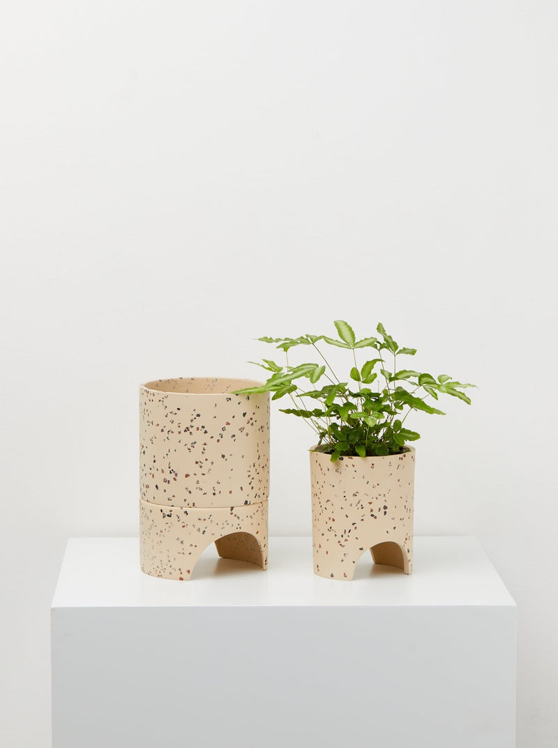 Small Archie Pots Fossil Terrazzo pots With plant