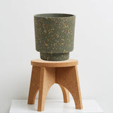 Agave Terrazzo pot with stand