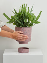 Musk Terrazzo plant pots with tray