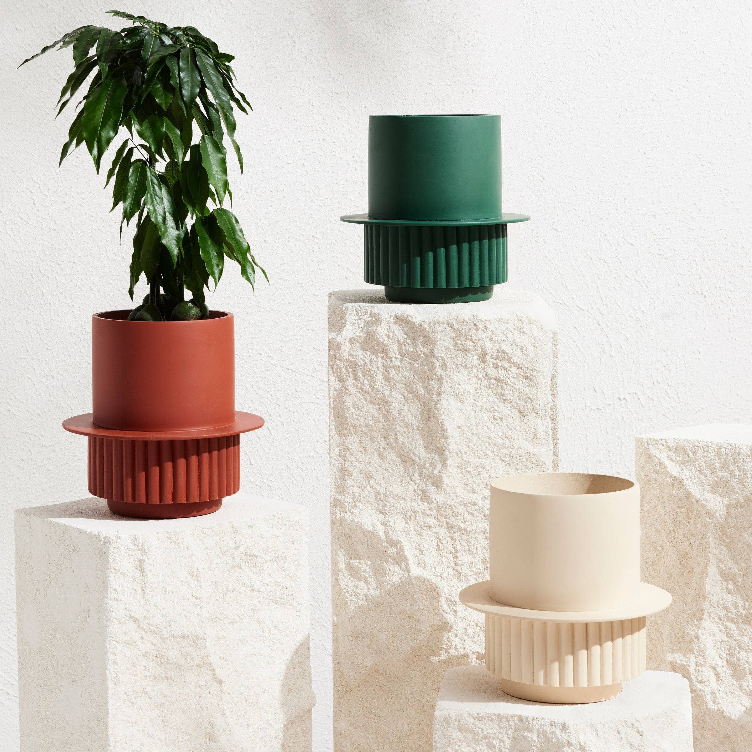 designer plant pots