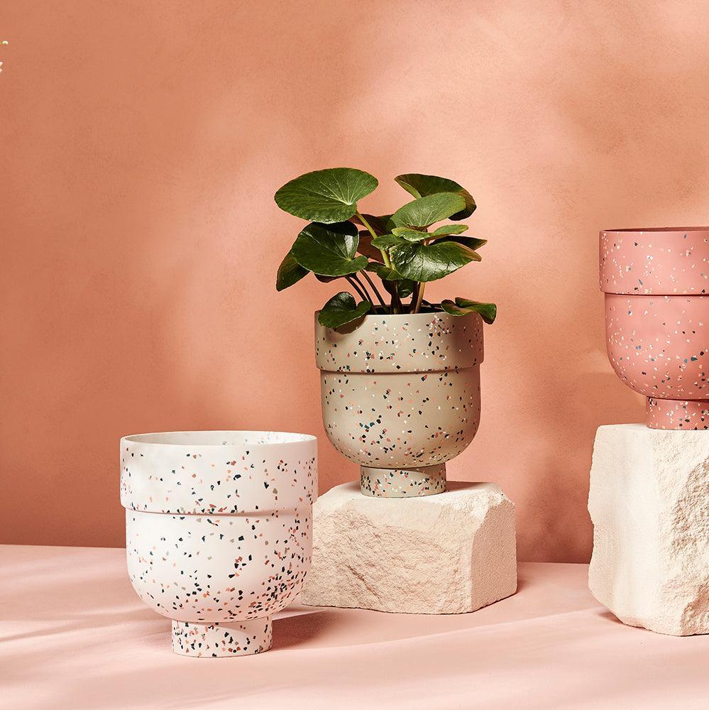 Funnel Planter - usa.capradesigns