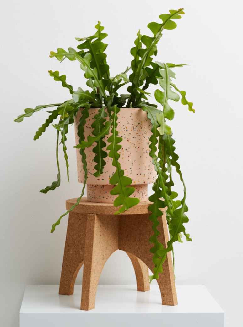 decorative plant pots with stand