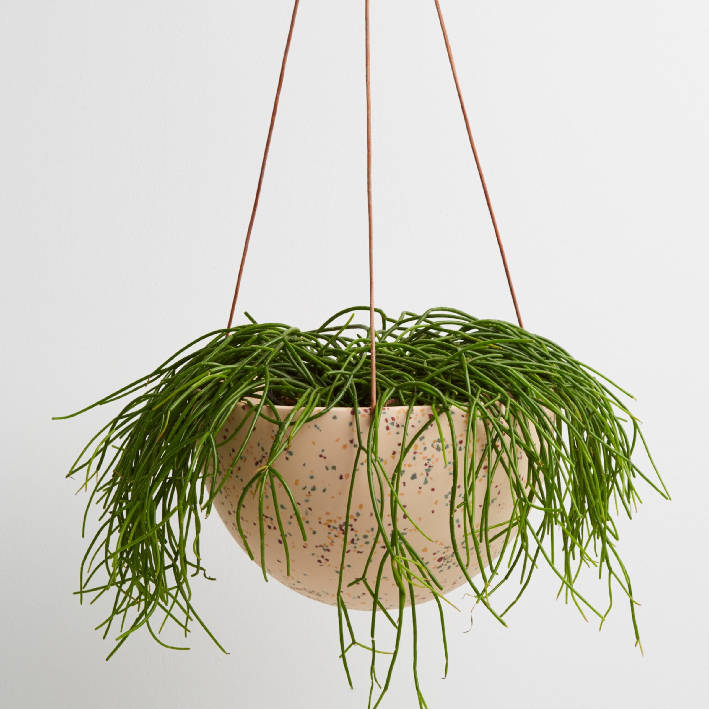 salt terrazzo hanging planters