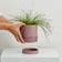 Musk Etch Pot