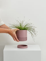 musk designer plant pot with trays