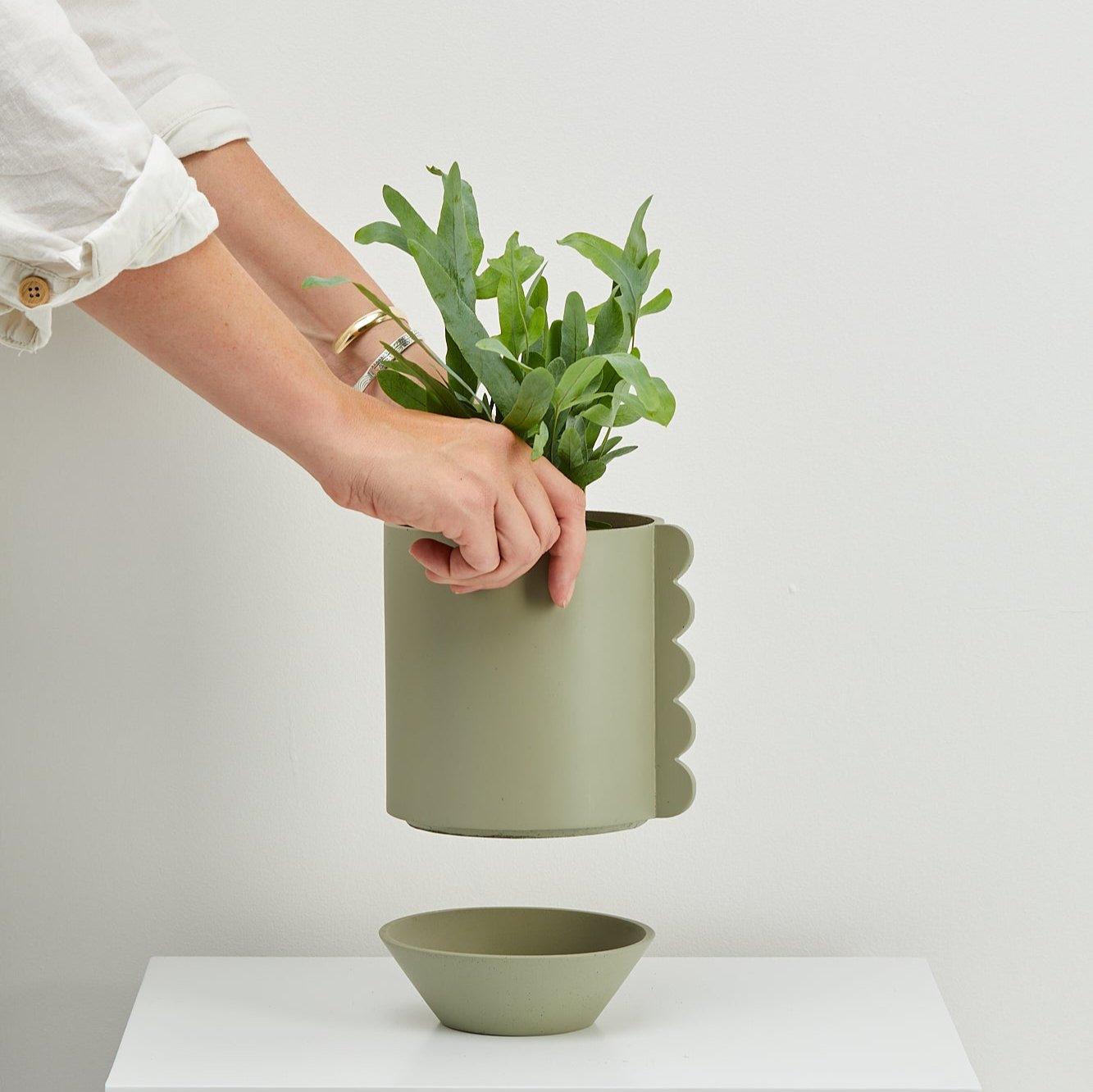 Frill Feature Planter - usa.capradesigns