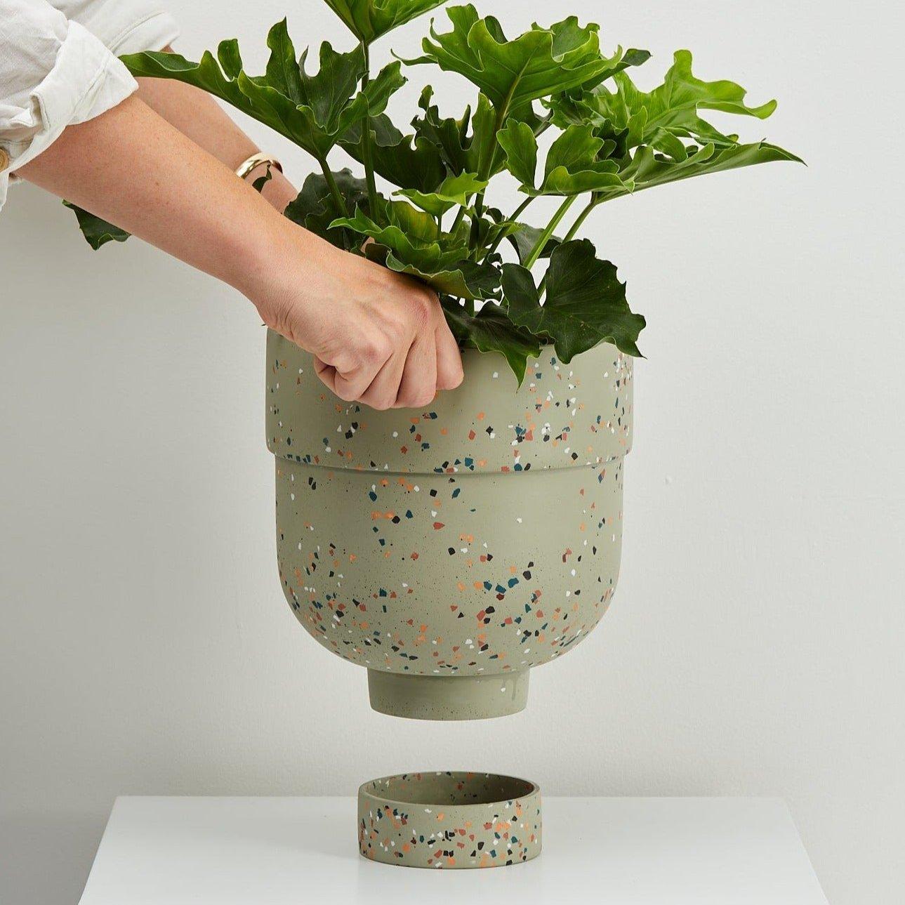 Funnel Planter - usa.capradesigns
