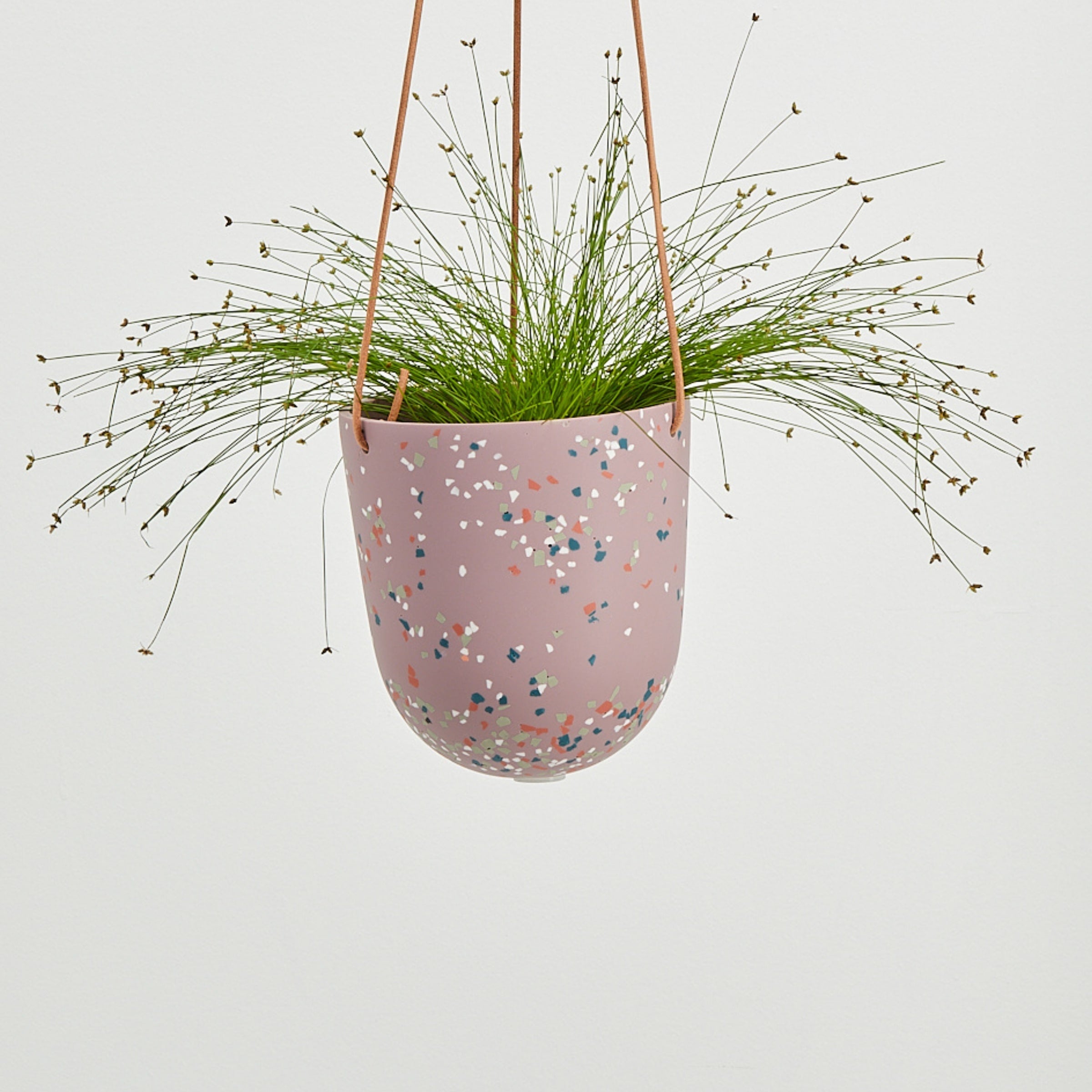 musk Terrazzo Hanging Pot with plant