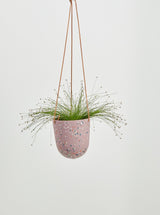 musk Terrazzo Hanging Pot with plant