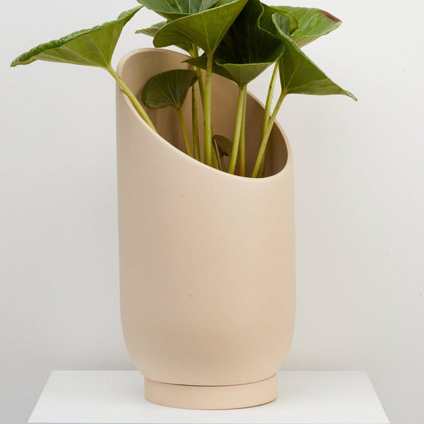fossil summit indoor pot with plant