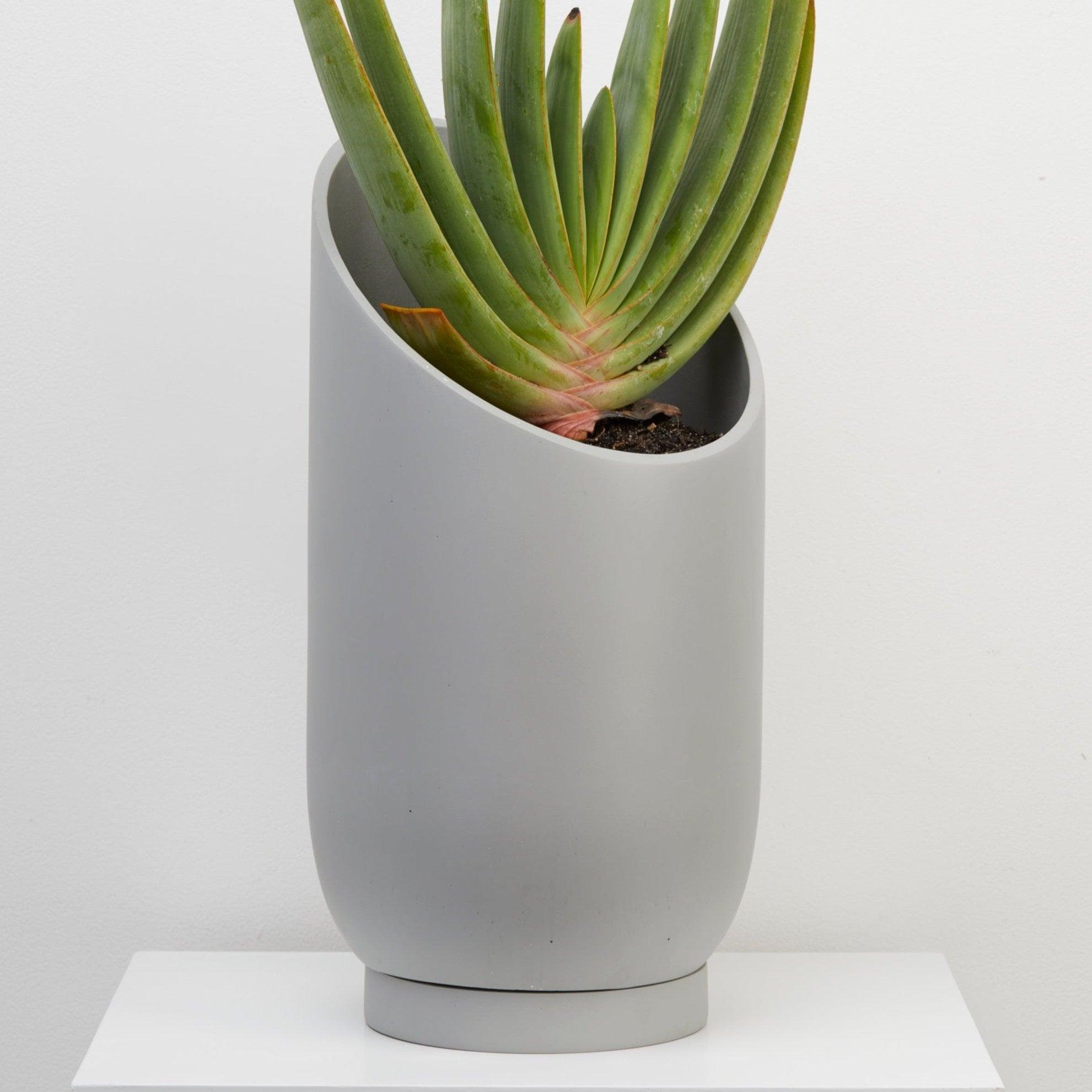 stone summit indoor pot with plant