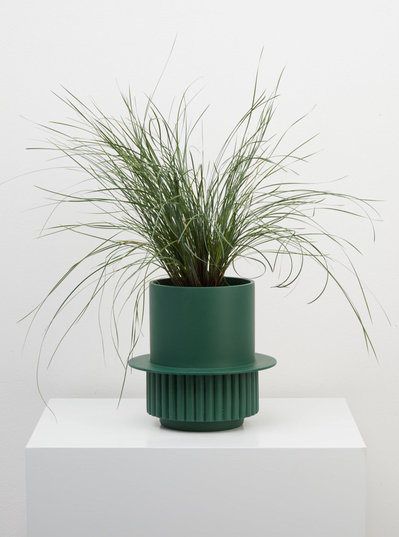 Emerald Roma designer pot with plant