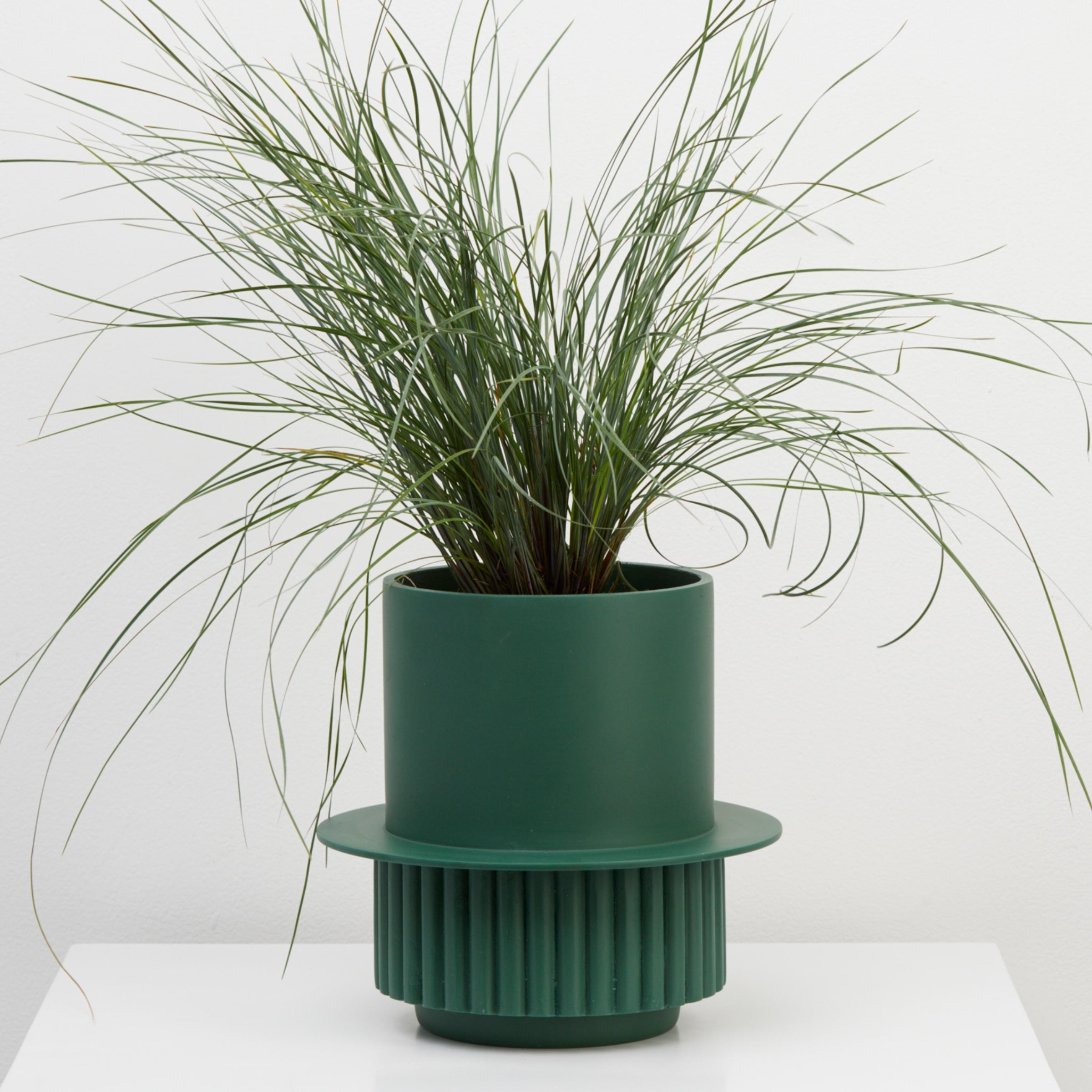 Emerald Roma designer pot with plant