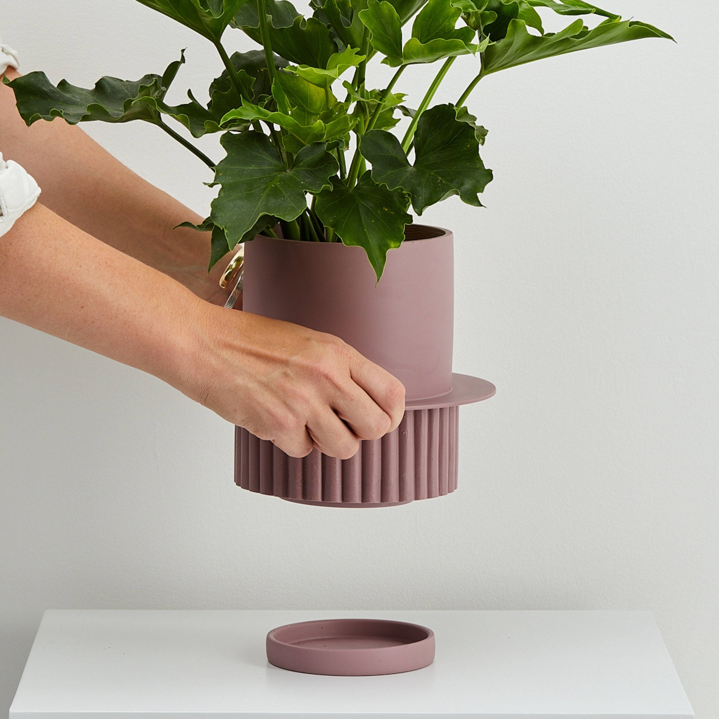 Musk Roma designer planter in hand with tray