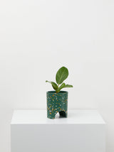 Small Archie Pot Emerald Terrazzo pot With plant