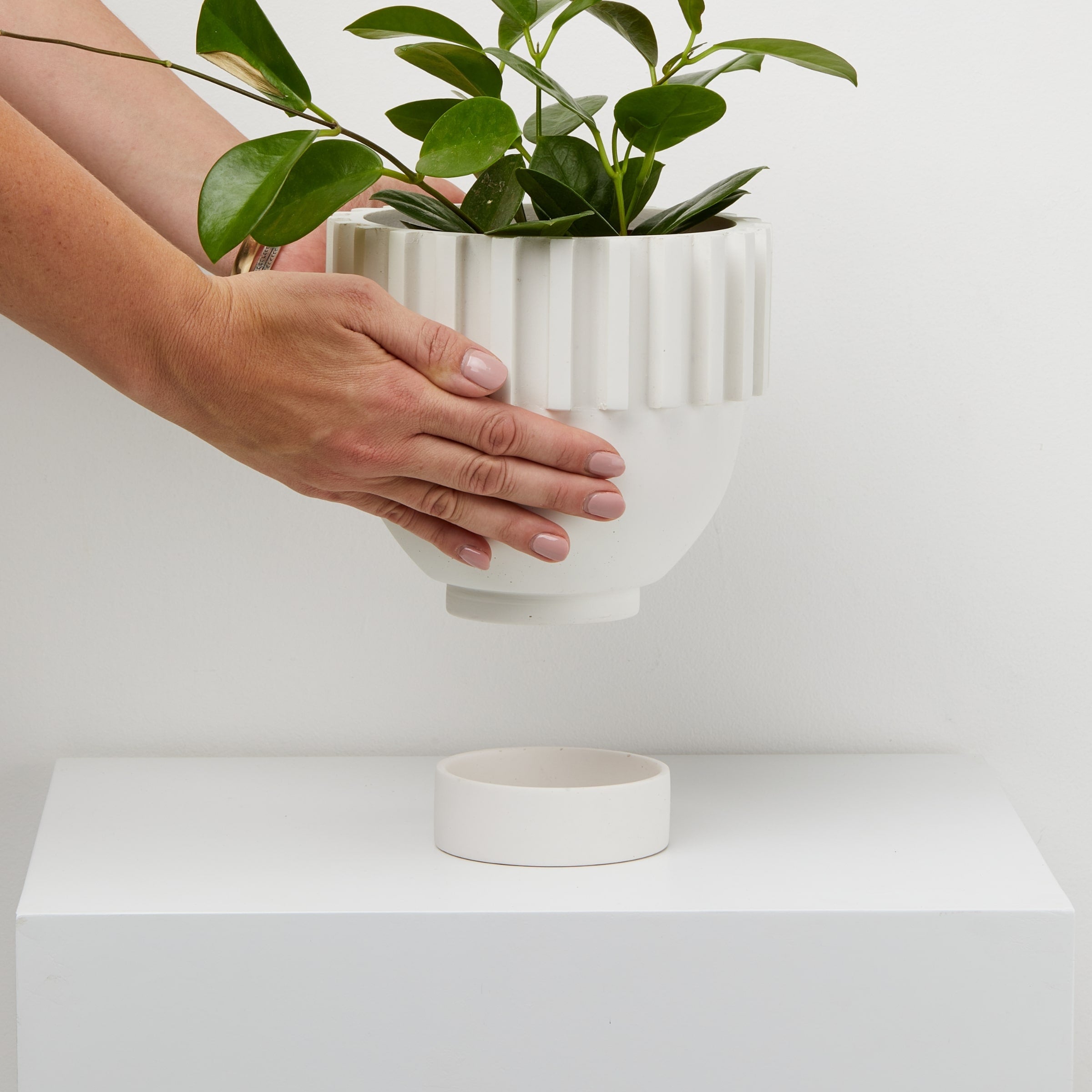 White Solstice plant Pot in hand With tray