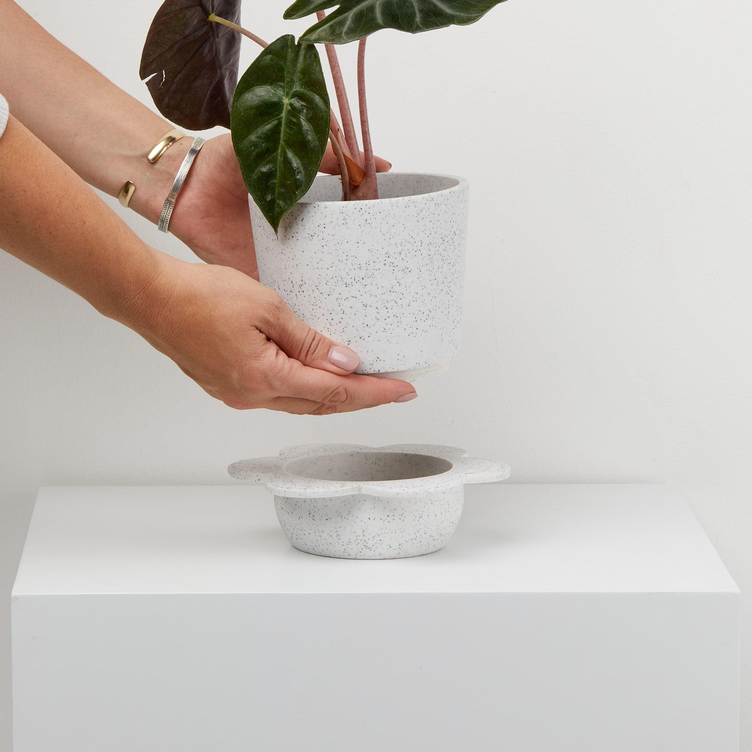 white indoor plant pots with tray