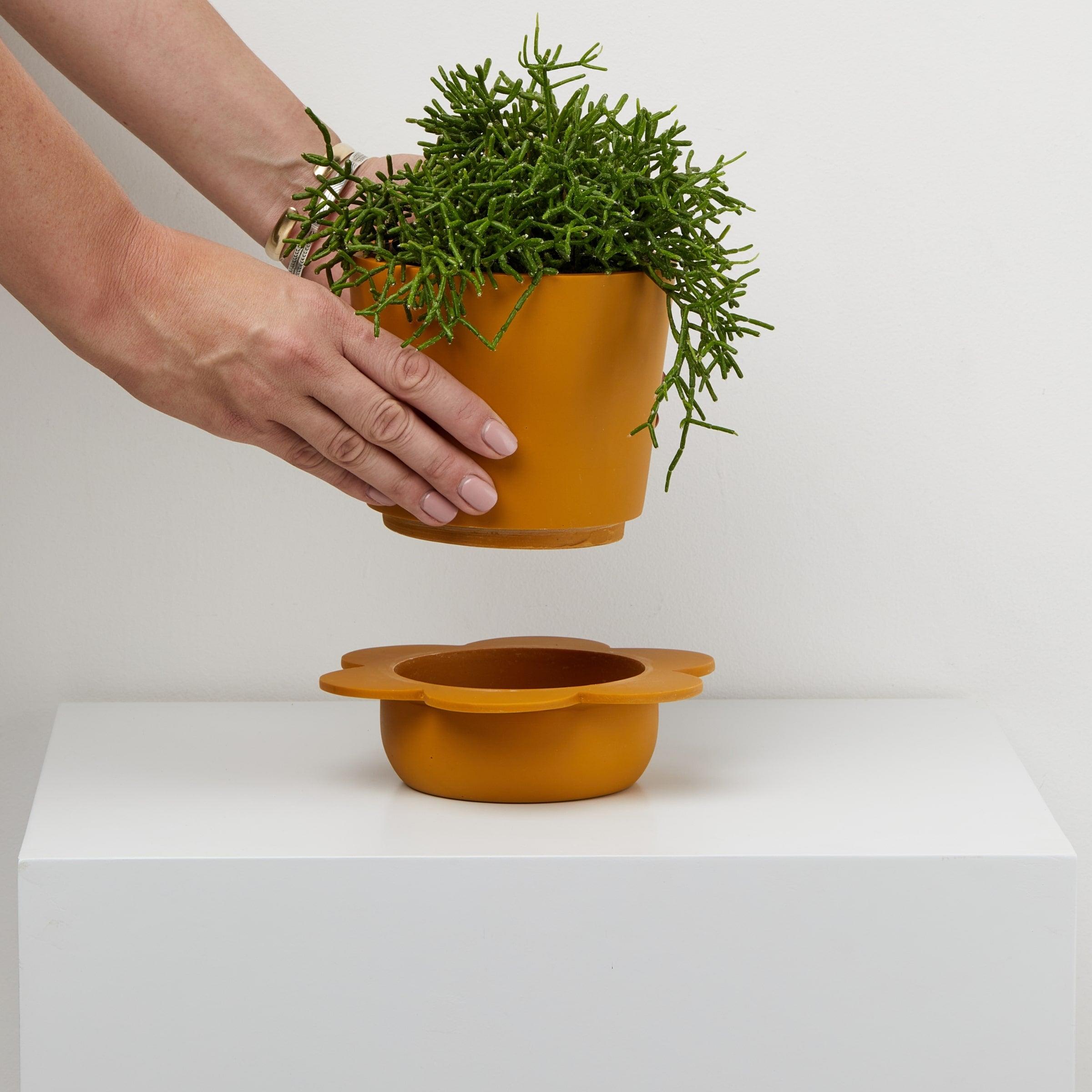 plant pot with tray