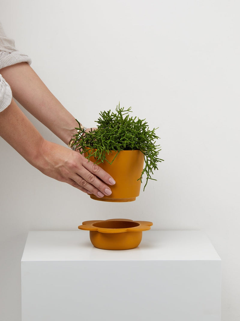 plant pot with tray