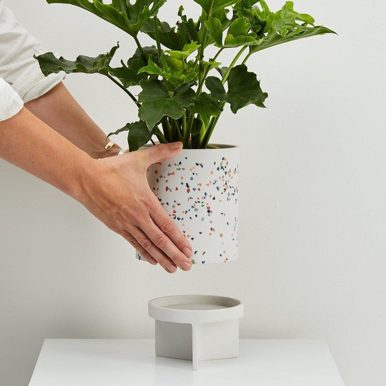 Tri Planter - usa.capradesigns