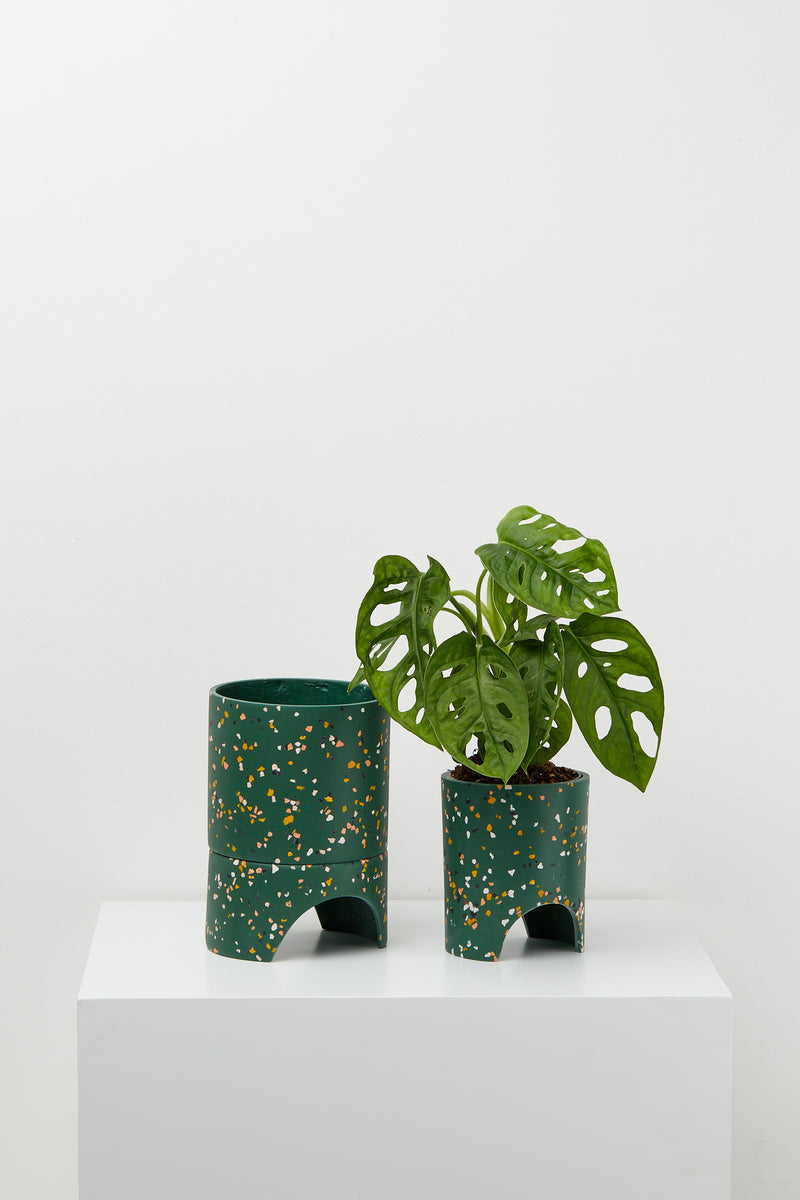 Emerald Terrazzo pot with plant
