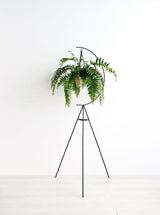 Crescent Plant Stand_Capra Designs